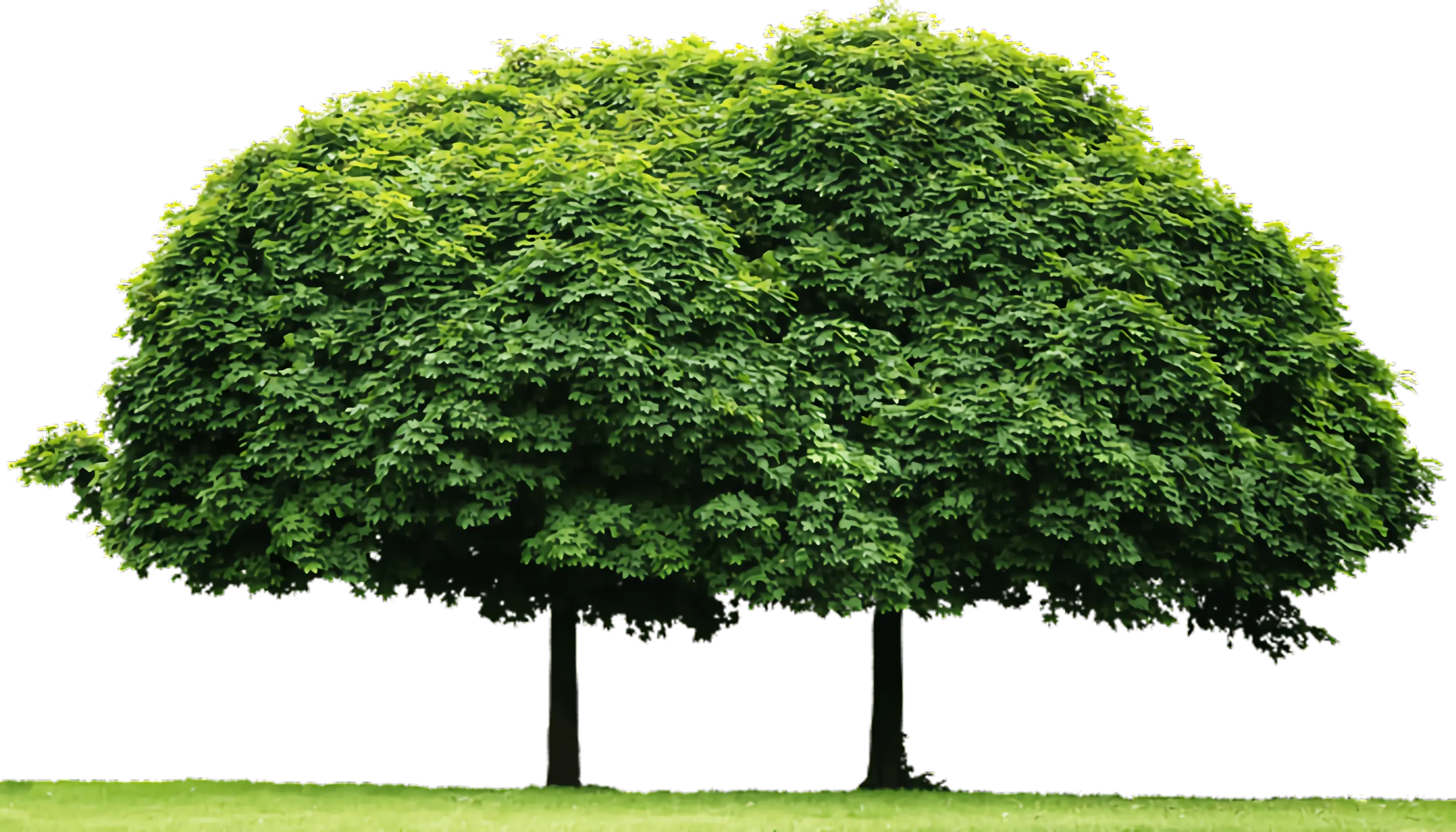 Kae Hwa - Premium TPEE Membrane Manufacturer